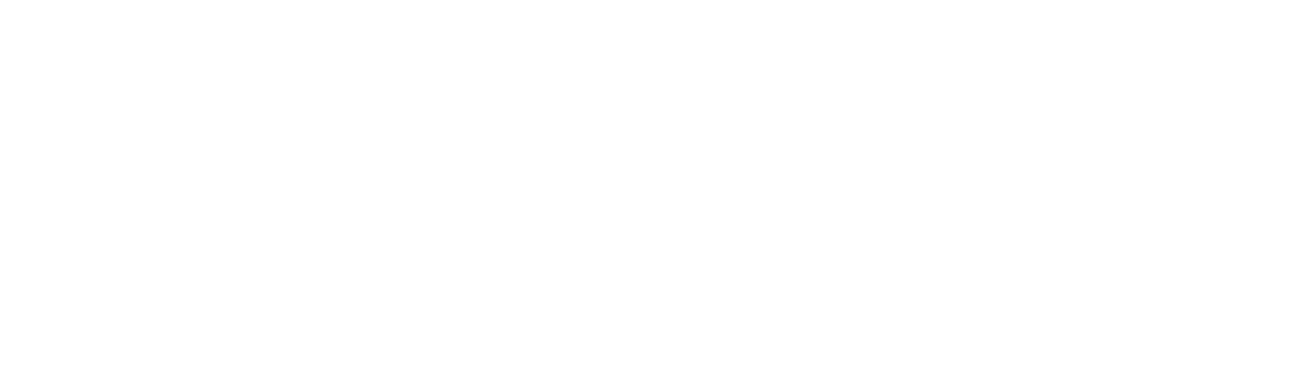 LOGO_PRINCIPAL 2 - BLANC