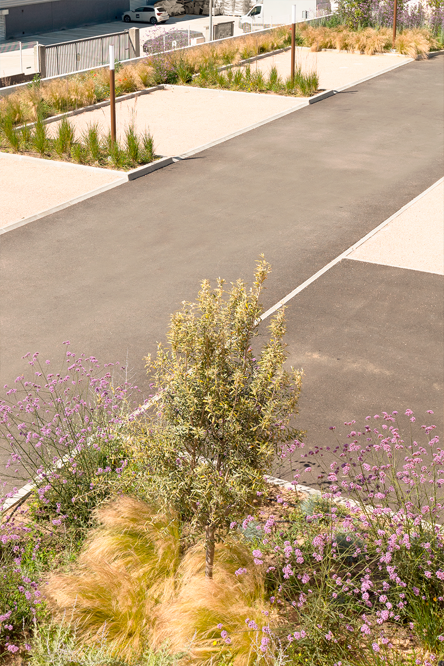 paysage ajaccio 5