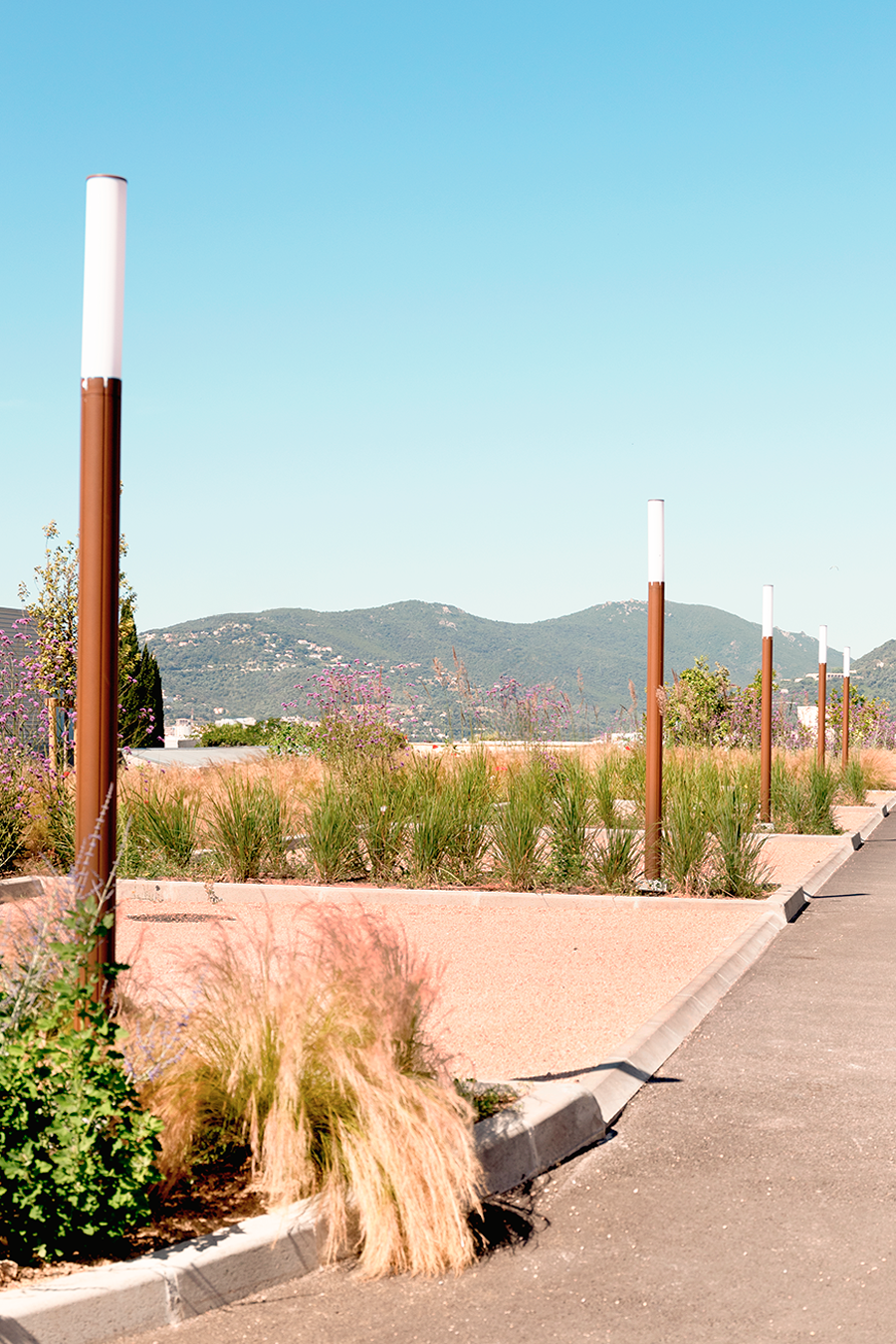 paysage ajaccio