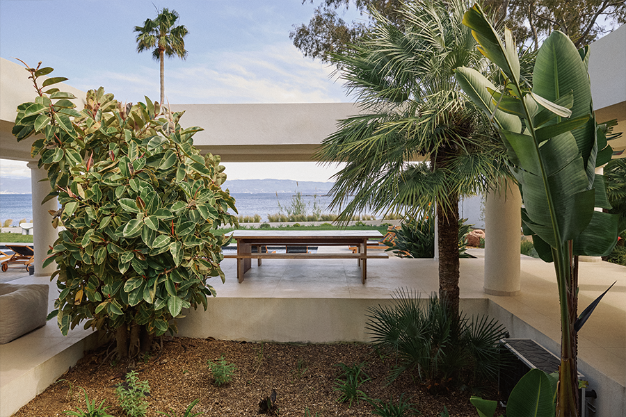 jardin paysage paysagiste concepteur ajaccio (10).jpg