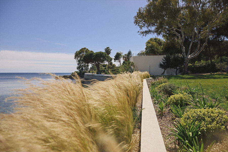jardin paysage paysagiste concepteur ajaccio (5).jpg